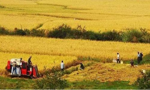 农村集体土地征收程序（政府征收农民土地补偿标准）