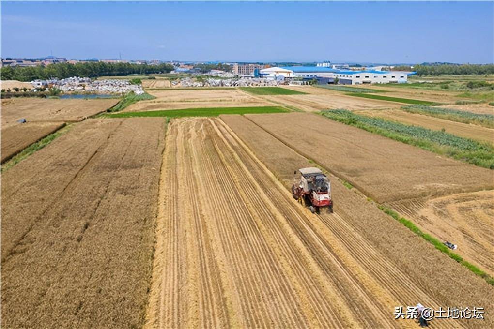 土地承包合同最长期限是几年（农村土地租赁的法律规定）