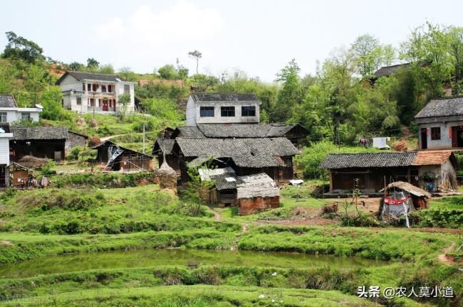 农村危房拆除有补偿吗（农村老旧危房拆除政策）