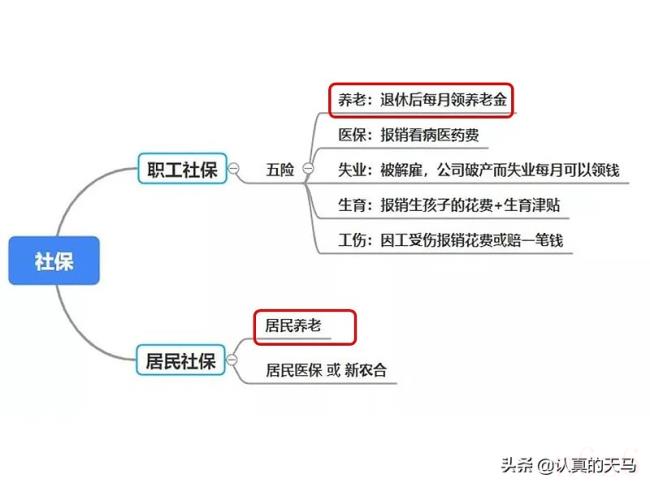 社保卡有什么用（社保卡的好处和用途）