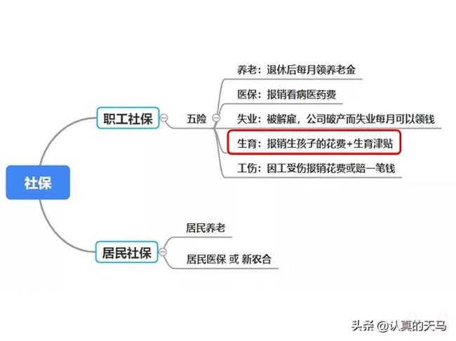 社保卡有什么用（社保卡的好处和用途）