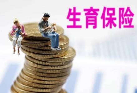 生育险报销标准是多少（生育津贴发放标准）