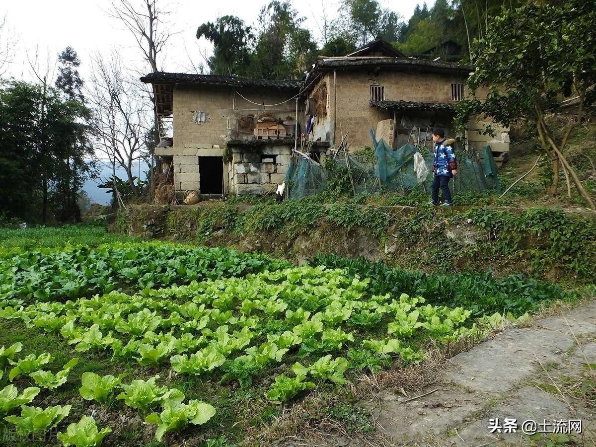 农村个人土地纠纷怎么处理（土地转让纠纷处理方法）