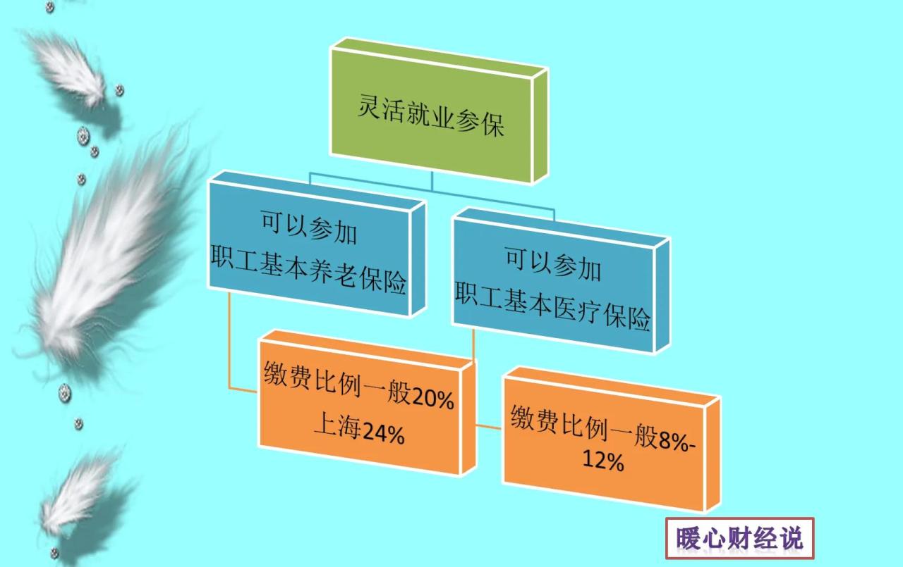 养老保险如何缴纳（养老保险缴费标准及方法）