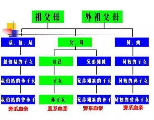 为什么亲姐姐不是直系亲属（最新直系亲属关系一览表）