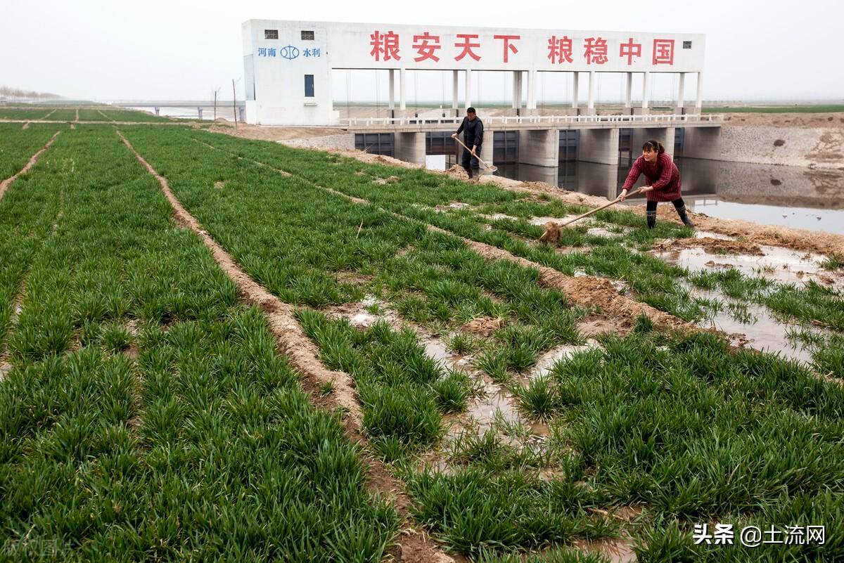 农村土地权属争议处理办法解读（民法典土地纠纷新规）