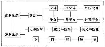 旁系血亲三代怎么计算（旁系血亲三代的判定）