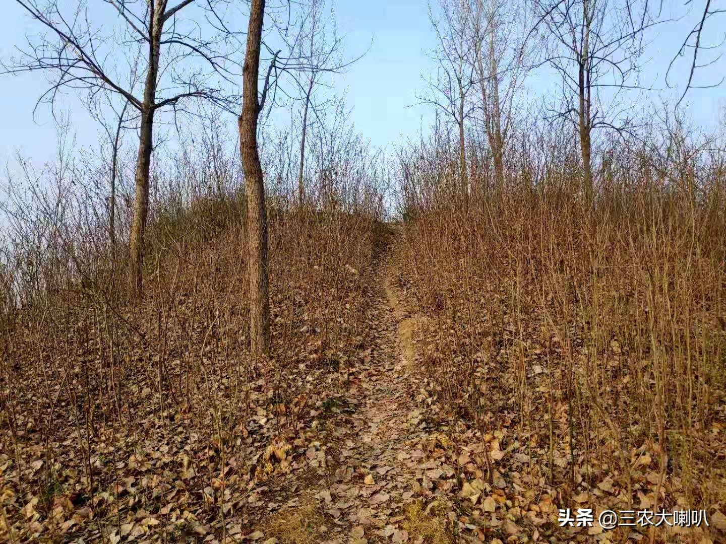 农村土地流转有一户不同意（关于农村土地征用赔偿标准）