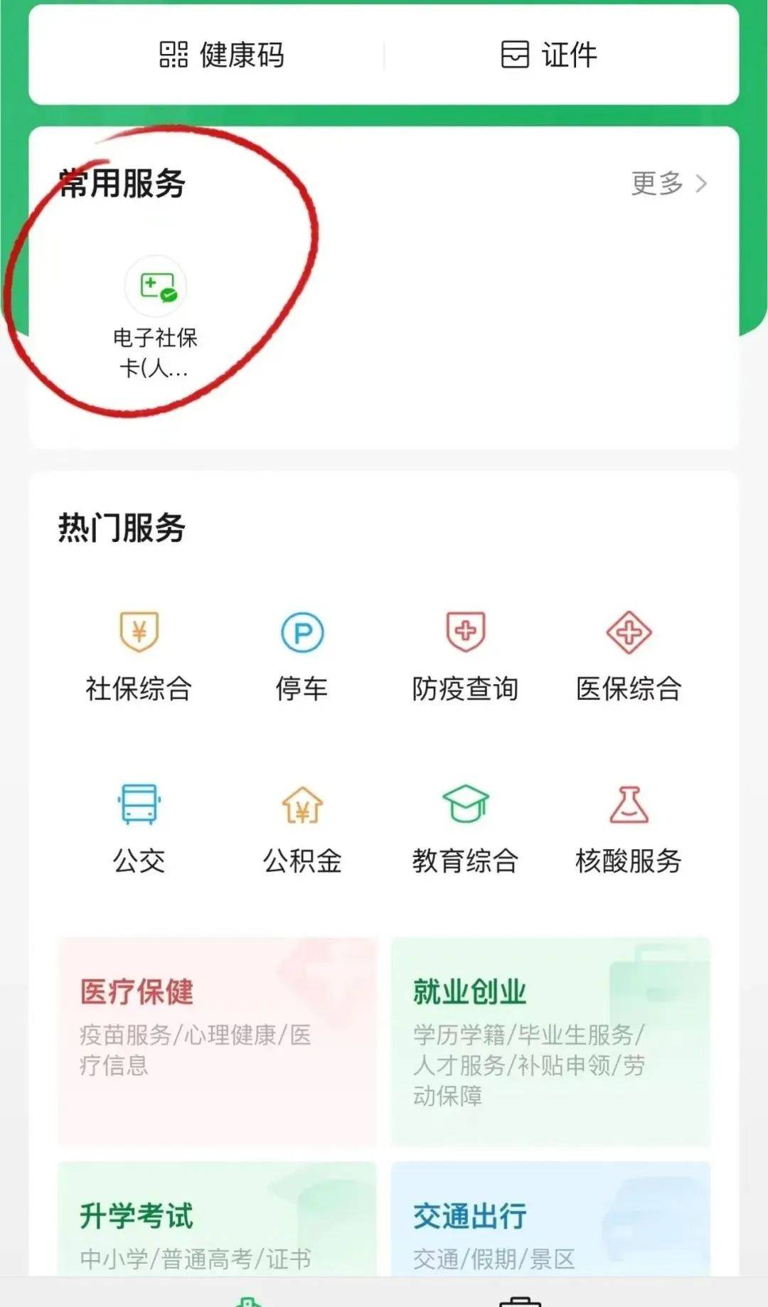 公司社保缴费明细怎么查询（社保余额明细查询方法及步骤）