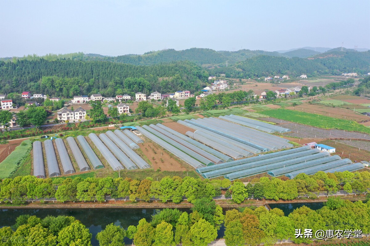 耕地占用税税率是多少（耕地占用税免税范围包括）