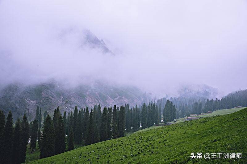 林地修路土地补偿标准（关于山林地征收补偿规定）