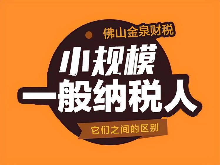 一般纳税人划分标准是什么（2022年一般纳税人认定条件）