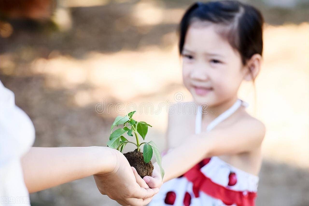 转继承的概念和适用范围（转继承的法律规定）