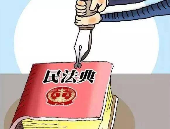 民事权利有那些类型（民法典有关民事权利规定）