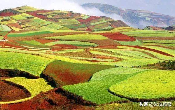 个人土地承包合同范本（简单的土地承包协议模版）