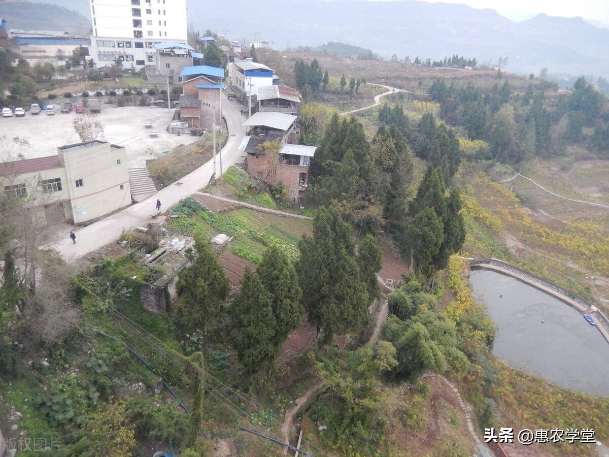 建设用地拆迁补偿标准是多少（最新征收土地补偿标准）