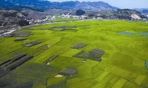 耕地的承包期为多少年（土地承包经营权期限）