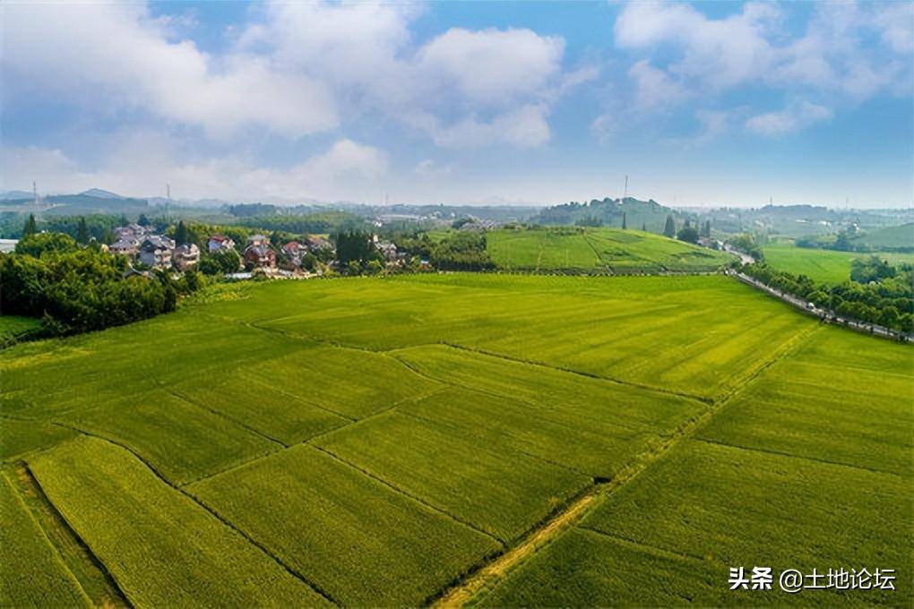 正规土地转让合同范本怎么写（集体土地流转合同模板）