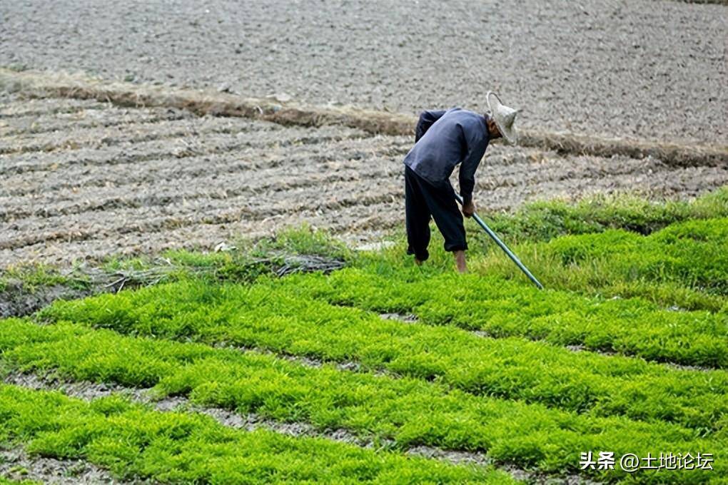 2022年失地农民养老保险政策解读（失地农民每月补偿标准）