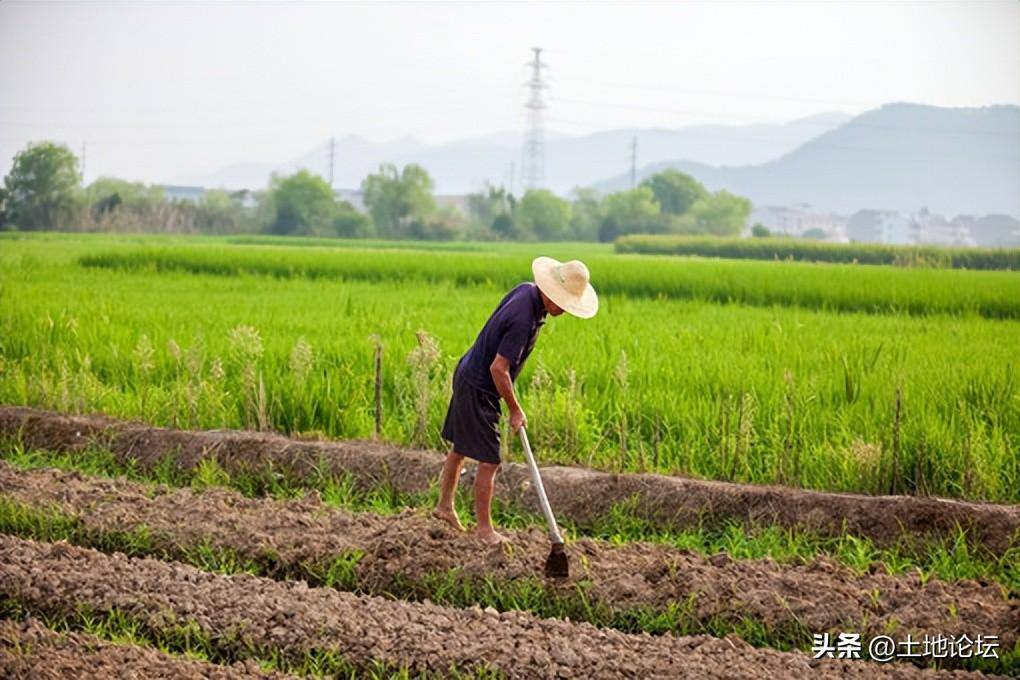 2022年失地农民养老保险政策解读（失地农民每月补偿标准）