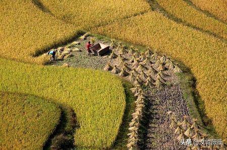 个人土地承包合同范本（简单的土地承包协议模版）