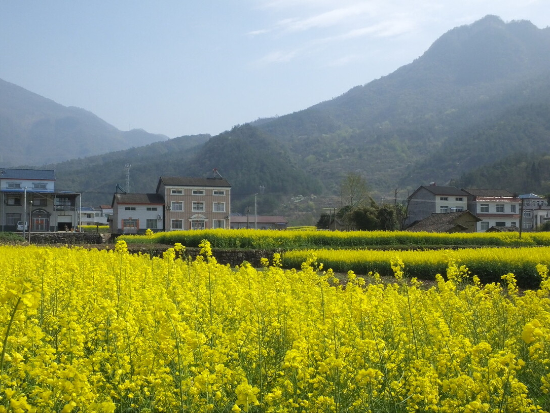 农村集体土地房屋征收补偿条例（关于拆迁补偿计算方法）