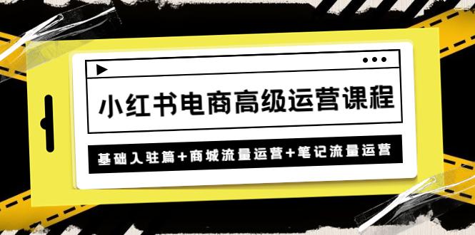 小红书电商高级运营课程：基础入驻篇+商城流量运营+笔记流量运营