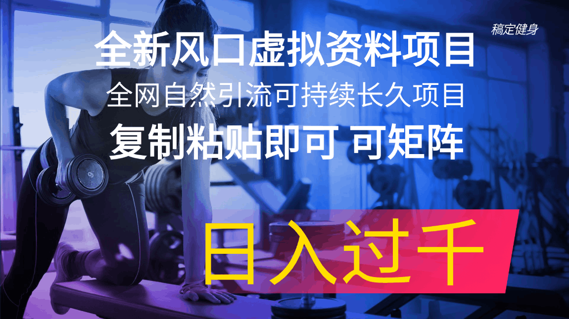 全新风口虚拟资料项目 全网自然引流可持续长久项目 复制粘贴即可可矩阵