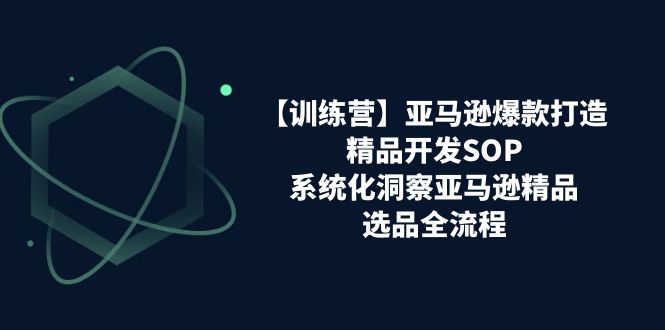 【训练营】亚马逊爆款打造之精品开发SOP，系统化洞察亚马逊精品选品全流程