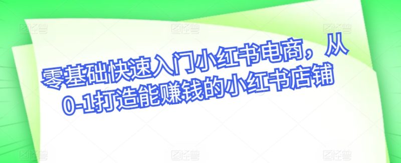 小红书电商实战宝典：从开店到爆款，轻松实现月入过万