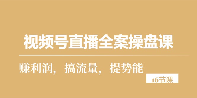 视频号直播实操攻略：从零到一，打造高利润直播间（16节课）