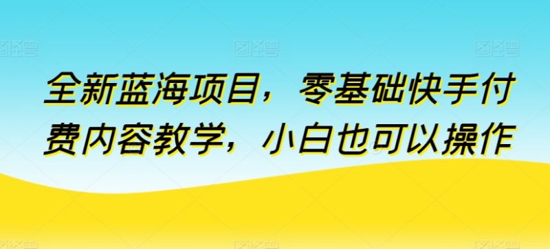 全新蓝海项目，从零开始：快手付费内容教学，小白变专家的秘密