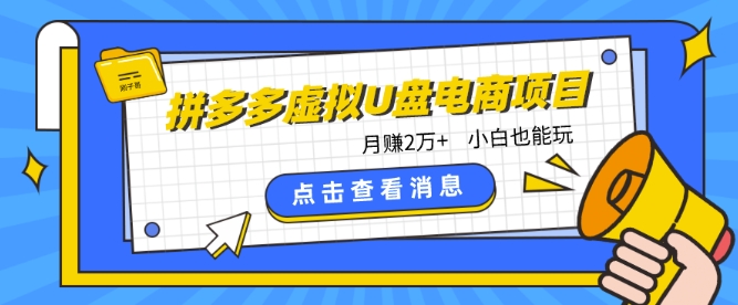 拼多多虚拟U盘电商：月赚2万+，红利项目，普通小白也能玩