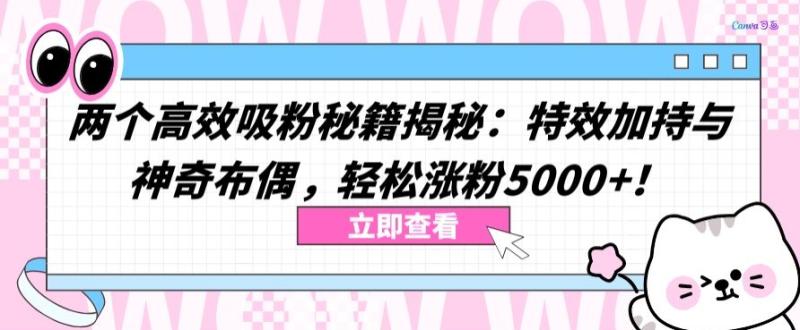 教你两个高效吸粉秘籍：特效加持与神奇布偶，轻松涨粉5000+【揭秘】