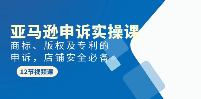 亚马逊-申诉实战课，商标、版权及专利的申诉，店铺安全必备