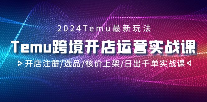 2024Temu跨境开店运营实战教程，开店注册/选品/核价上架/日出千单实战课