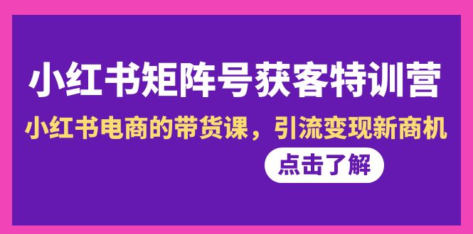 小红书矩阵号获客营-第10期，小红书电商的带货特训课，引流变现新商机