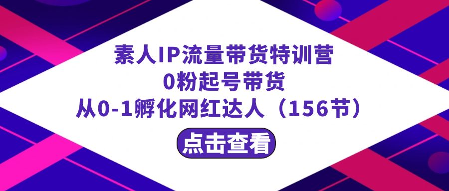 素人IP流量带货特训课程：零粉起号带货 从0-1孵化网红达人（156节）