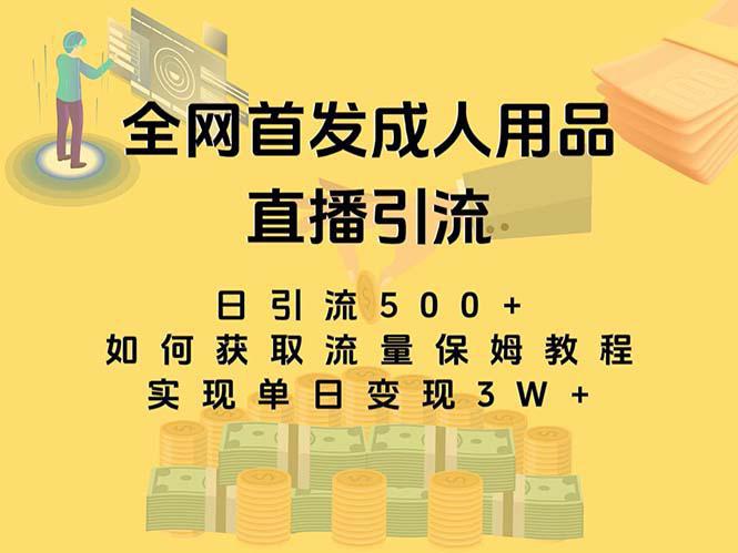 最新全网独创首发，成人用品直播引流获客暴力玩法，单日变现3w保姆级教程