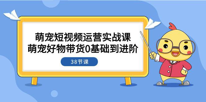 萌宠短视频攻略：从0基础到进阶，带你探索带货奥秘（38节课）