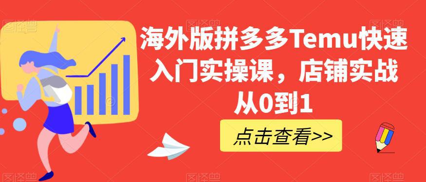 海外版拼多多TEMU快速入门实操课，店铺实战从0到1