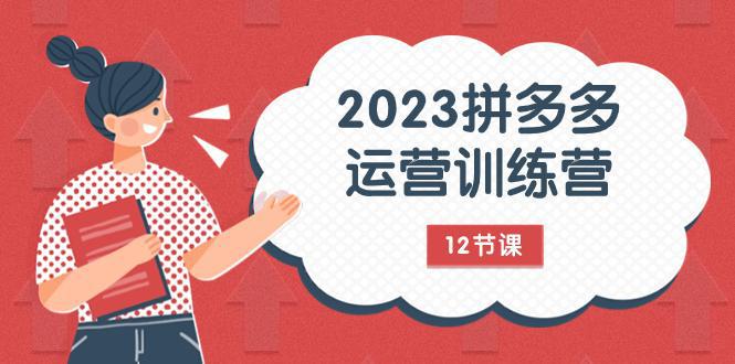 2023年拼多多运营攻略：解锁流量秘密，全方位免费+付费流量实战解析（12节课）