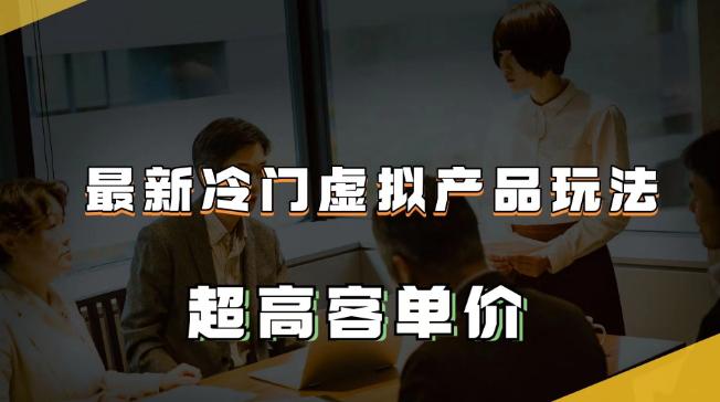 最新冷门虚拟产品玩法，月入2-3万＋，超高客单价让你收入翻倍