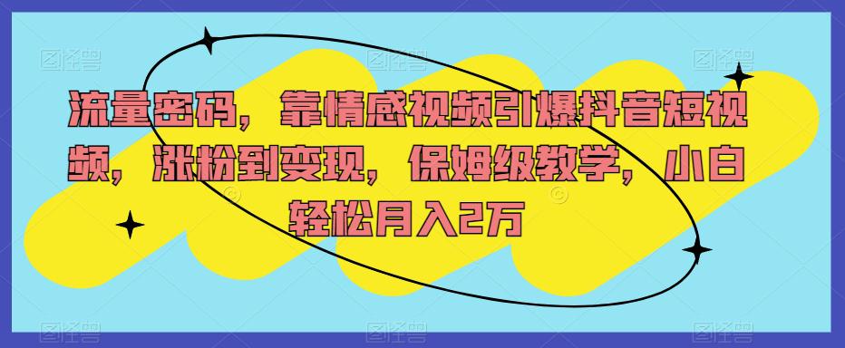 流量密码，靠情感视频引爆抖音短视频，涨粉到变现，保姆级教学，小白轻松月入2万【揭秘】