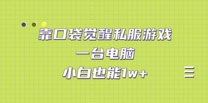 靠口袋觉醒私服游戏，一台电脑，小白也能1w+（教程+工具+资料）