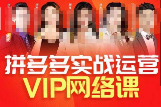 拼多多VIP学习指南，高阶直通车和店铺实操玩法，实战选款内功全解析