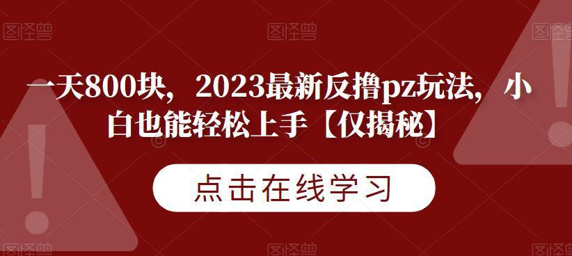 2023最新反撸PZ玩法揭秘，一天轻松赚800块！【仅揭秘】