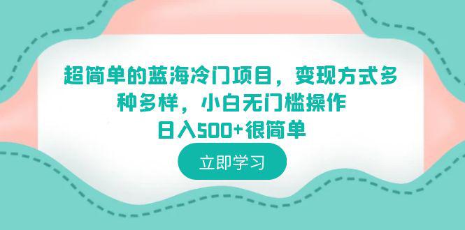 超简单蓝海冷门项目，小白0基础操作日入500+，多种变现方式助你轻松成功！