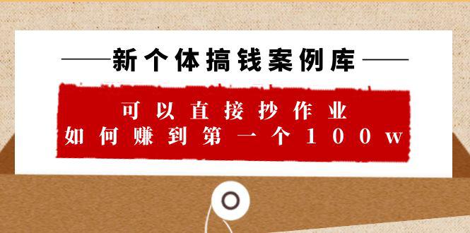 打造新个体成功案例库，如何赚到第一个100w！29节视频文档教你轻松实现！