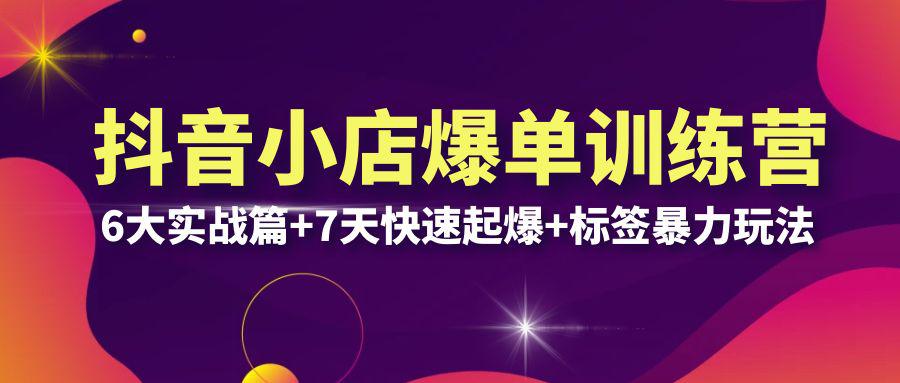 抖音小店爆单训练营VIP线下课：6大实战篇+7天快速起爆+标签暴力玩法，打造抖店爆单新策略，猜你喜欢流量提升技巧（32节）